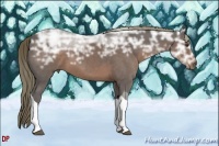 Horse Color:Liver Chestnut Ice Sabino Tobiano