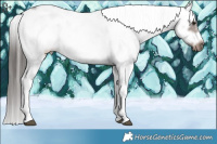 Horse Color:Liver Chestnut Sabino Splash Frame 