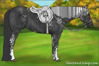 Horse Color:White Spotted Black Sabino Brindle