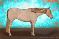 Horse Color:Red Roan Sabino 