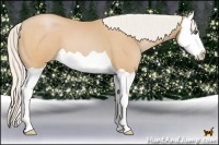 Horse Color:Silver Brown Pearl Splash