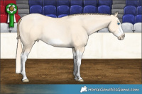 Horse Color:Buckskin Pearl Splash Frame 