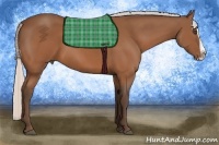 Horse Color:Silver Brown Splash
