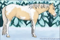 Horse Color:Silver Sable Cream Champagne Tobiano Frame Rabicano