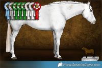 Horse Color:Liver Red Dun Pearl Sabino 