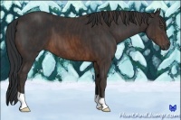 Horse Color:Brown  Brindle