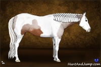 Horse Color:Silver Brown Sabino Splash Tobiano 