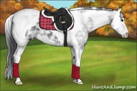 Horse Color:Black Ice Sabino Splash Tobiano 