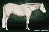 Horse Color:Smoky Creme Splash 