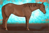 Horse Color:Chestnut  Brindle