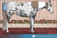 Horse Color:Liver Chestnut Ice Sabino Splash Tobiano 
