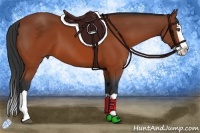 Horse Color:Brown Splash