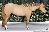 Horse Color:Bay Pearl Rabicano 