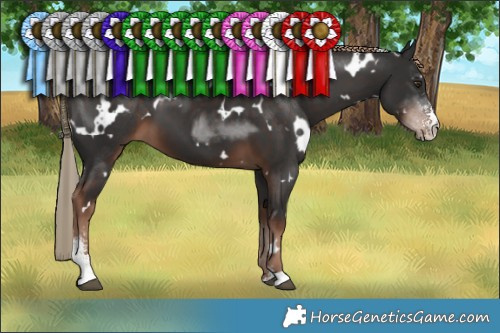 Horse Color:White Spotted Liver Chestnut Sabino 
