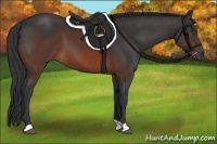Horse Color:Brown 