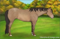 Horse Color:Sable Champagne 