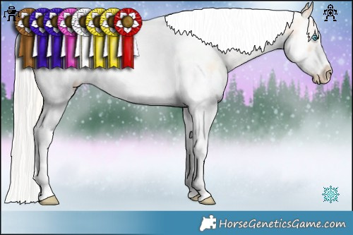 Horse Color:Silver Classic Champagne Ice Pearl Dun Sabino Splash Tobiano Frame 