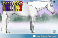 Horse Color:Silver Classic Champagne Ice Pearl Dun Sabino Splash Tobiano Frame 