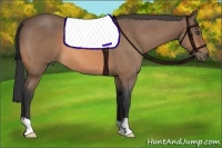 Horse Color:Buckskin Roan 