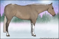 Horse Color:Silver Grullo Tobiano