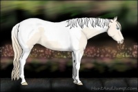 Horse Color:Perlino Tobiano 