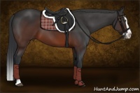 Horse Color:Brown Splash