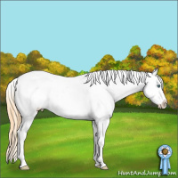 Horse Color:White Spotted Smoky Grullo Pearl Sabino Varnish
