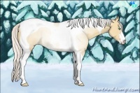 Horse Color:Silver Classic Champagne Dun Sabino Tobiano 