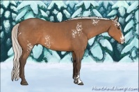 Horse Color:White Spotted Silver Brown Sabino Splash