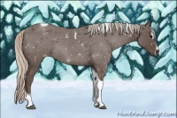 Horse Color:Silver Black Sabino Tobiano 