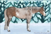 Horse Color:White Spotted Silver Black Sabino Splash