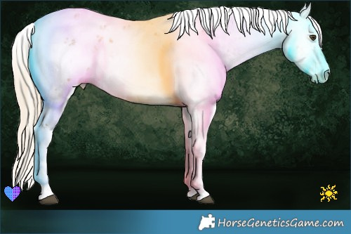 Horse Color:Palomino Dun Sabino 
