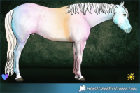 Horse Color:Palomino Dun Sabino 