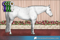 Horse Color:Grullo Sabino 