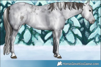 Horse Color:White Spotted Grullo Ice Splash Blanket Rabicano 