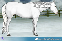 Horse Color:White Spotted Silver Buckskin Ice Dun Splash Blanket Rabicano 