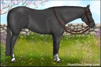 Horse Color:Smoky Black Sabino