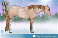 Horse Color:Bay Ice Pearl 