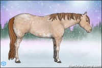 Horse Color:Bay Ice Pearl 