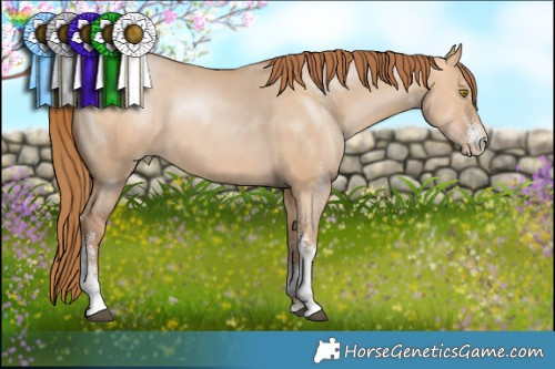 Horse Color:White Spotted Bay Pearl Dun 