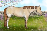 Horse Color:White Spotted Bay Pearl Dun 