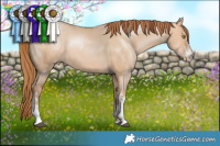 Horse Color:White Spotted Bay Pearl Dun 