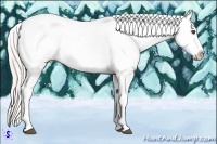 Horse Color:White Spotted Silver Brown Ice Dun Splash Appaloosa Rabicano
