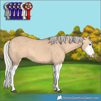 Horse Color:White Spotted Silver Brown Dun Splash 