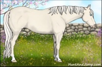 Horse Color:Cremello 