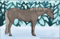 Horse Color:Silver Black Tobiano Brindle