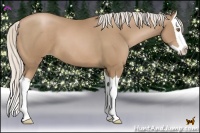 Horse Color:Silver Black Pearl Splash