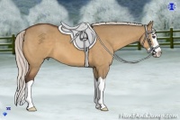 Horse Color:Silver Bay Dun Splash
