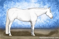 Horse Color:Perlino Roan Splash Tobiano Frame Blanket