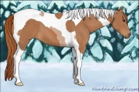 Horse Color:Chestnut Tobiano 